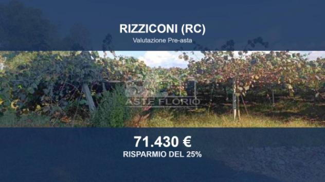 terreno agricolo in vendita a Rizziconi in zona Spina