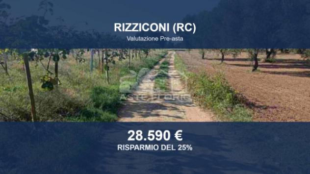 terreno agricolo in vendita a Rizziconi in zona Spina