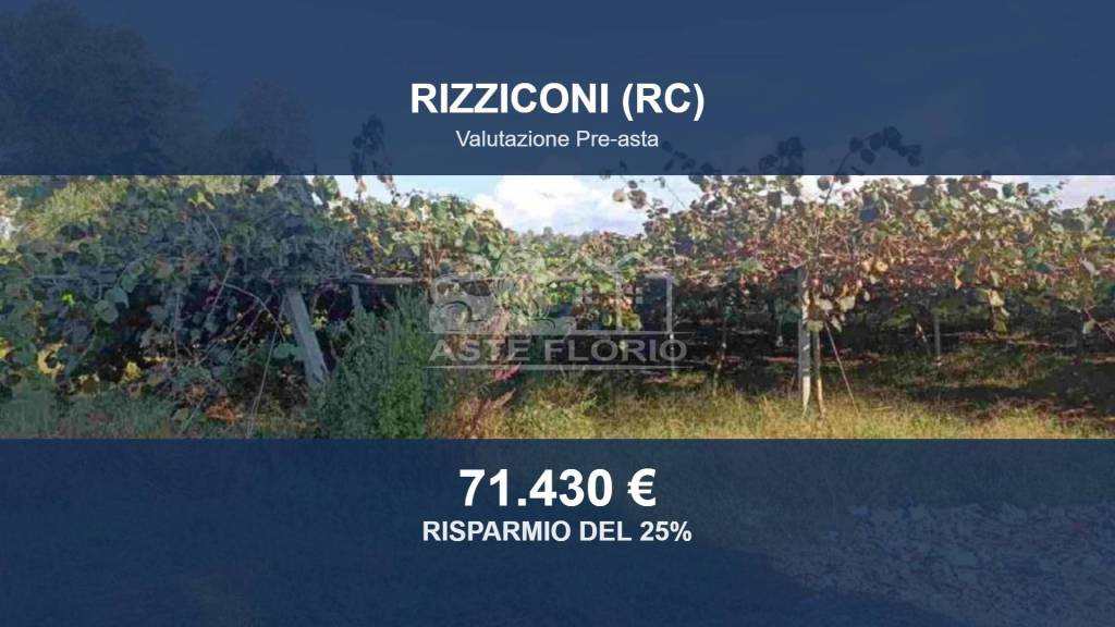 terreno agricolo in vendita a Rizziconi in zona Spina