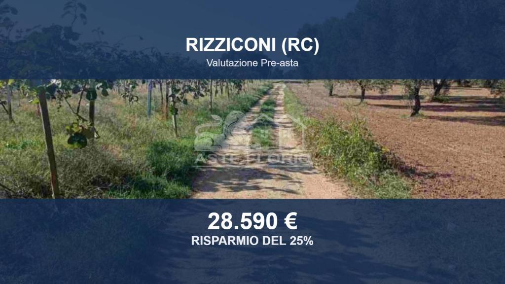 terreno agricolo in vendita a Rizziconi in zona Spina