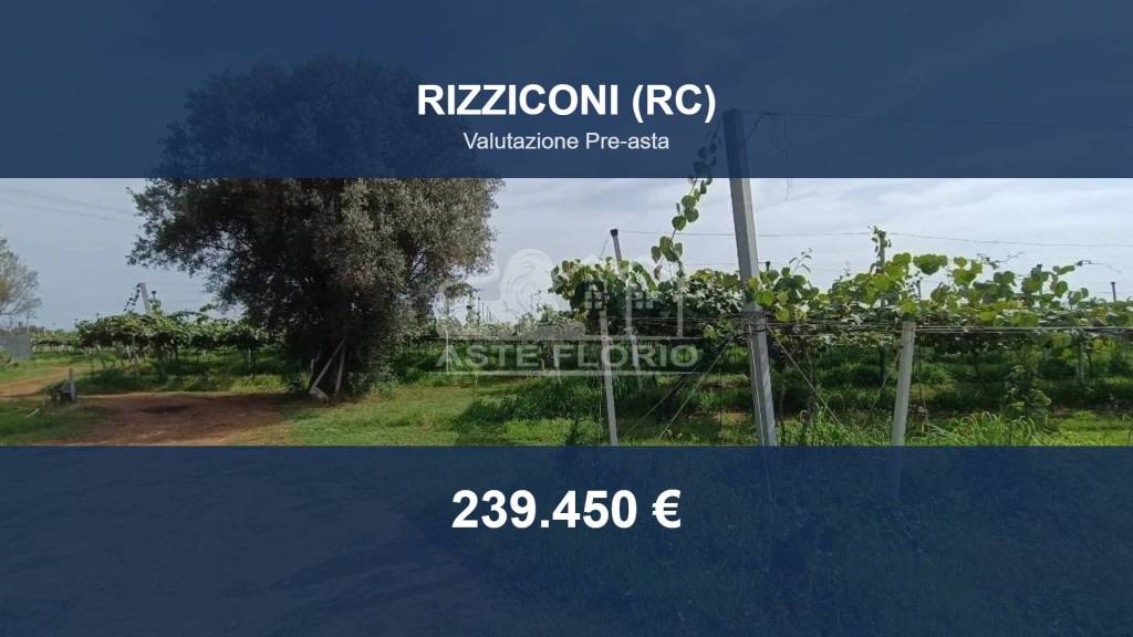 casale in vendita a Rizziconi in zona Cannavà