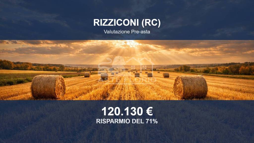 terreno agricolo in vendita a Rizziconi
