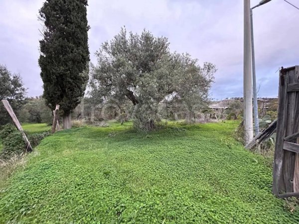 negozio in vendita a Roccella Ionica