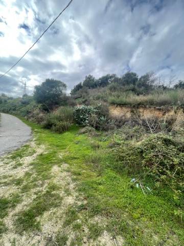 terreno agricolo in vendita a Roccella Ionica