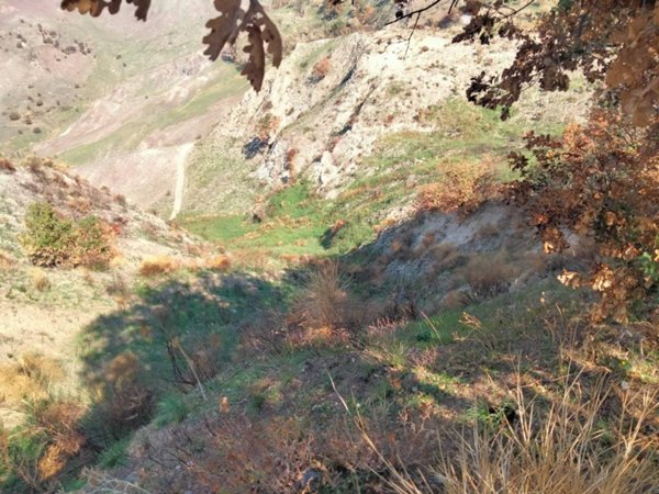 terreno agricolo in vendita a Roccella Ionica