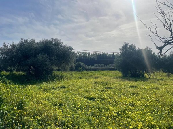 terreno agricolo in vendita a Roccella Ionica