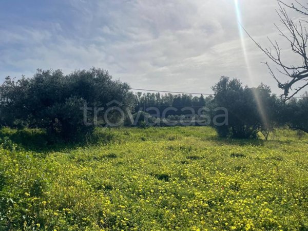 terreno agricolo in vendita a Roccella Ionica