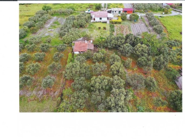 terreno edificabile in vendita a Roccella Ionica