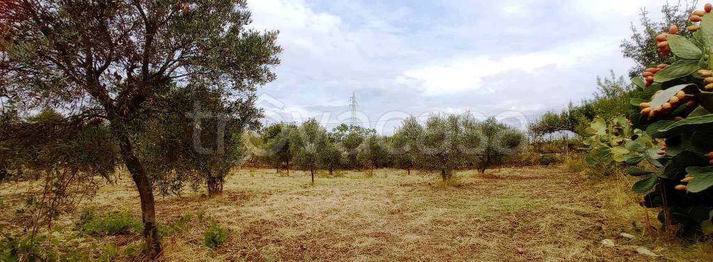 terreno agricolo in vendita a Roccella Ionica