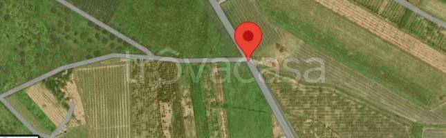 appartamento in vendita a Rosarno