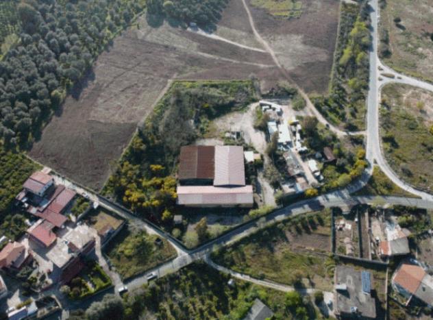 locale commerciale in vendita a Rosarno