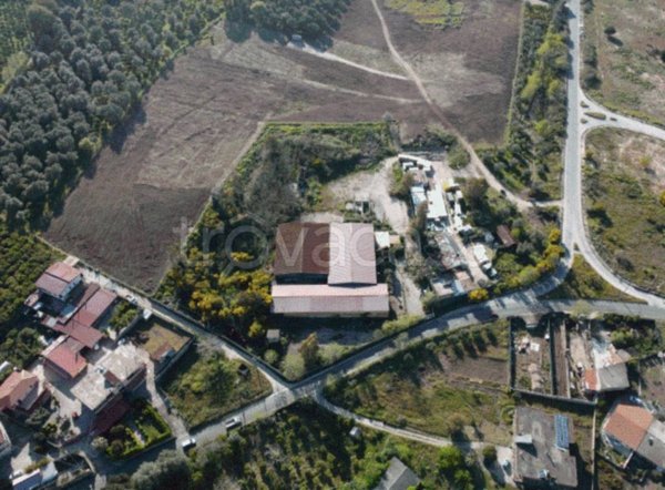 locale commerciale in vendita a Rosarno