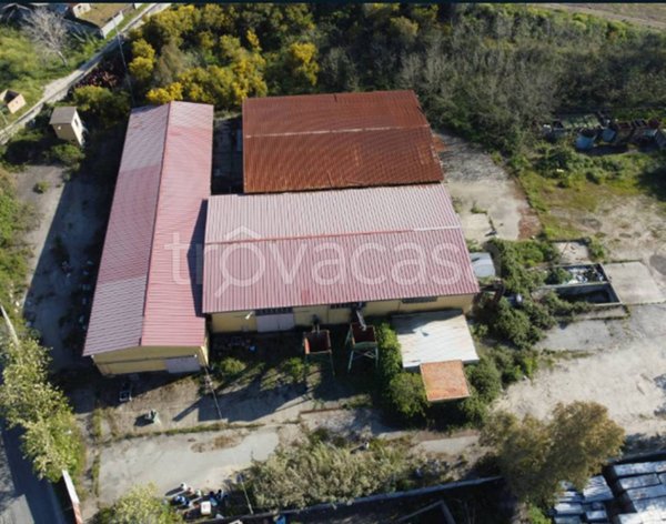 capannone in vendita a Rosarno