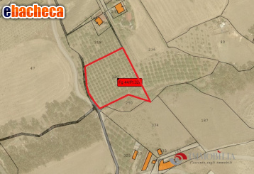 terreno agricolo in vendita a San Lorenzo