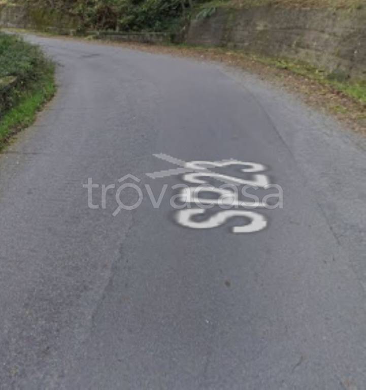 terreno agricolo in vendita a San Lorenzo