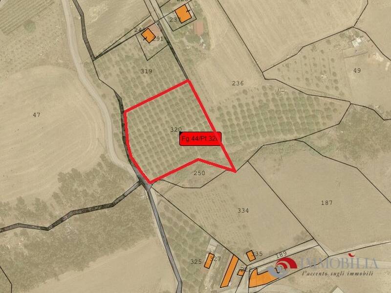 terreno agricolo in vendita a San Lorenzo