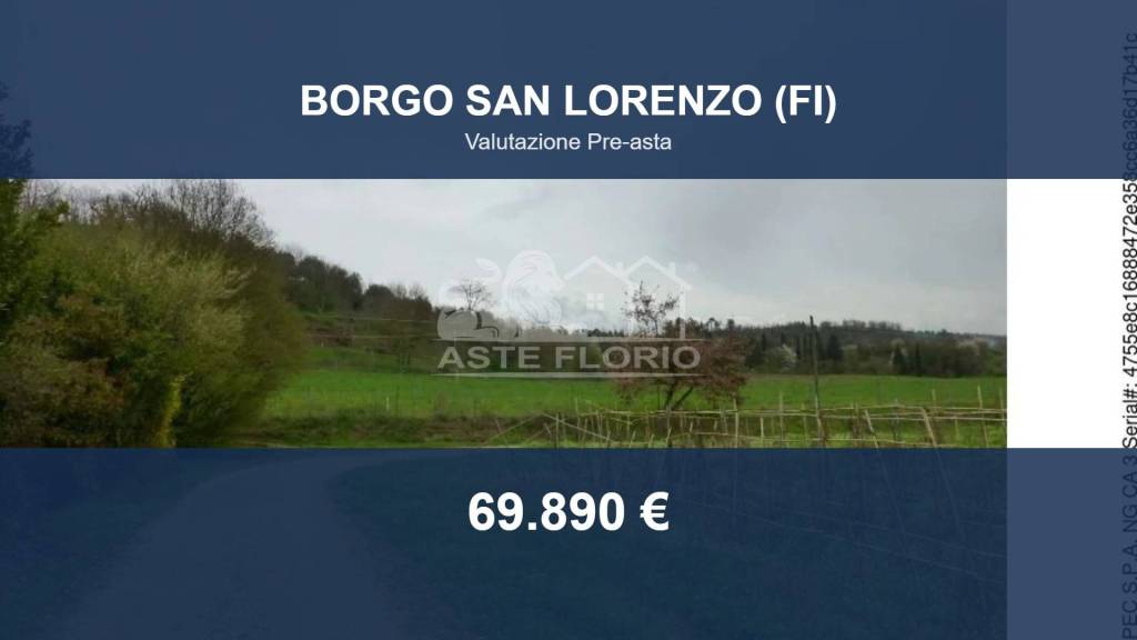 terreno agricolo in vendita a San Lorenzo