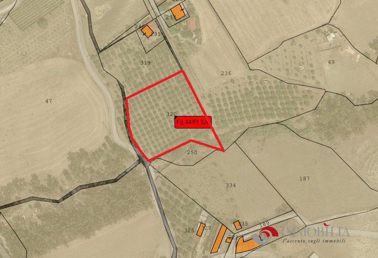 terreno agricolo in vendita a San Lorenzo
