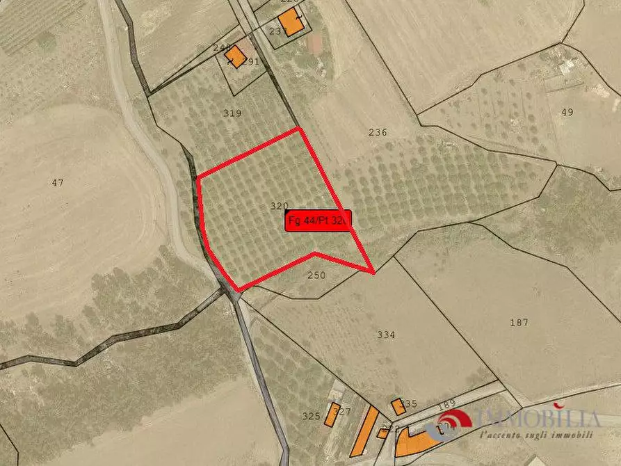 terreno agricolo in vendita a San Lorenzo