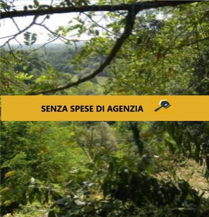 casa indipendente in vendita ad Asti in zona Castiglione