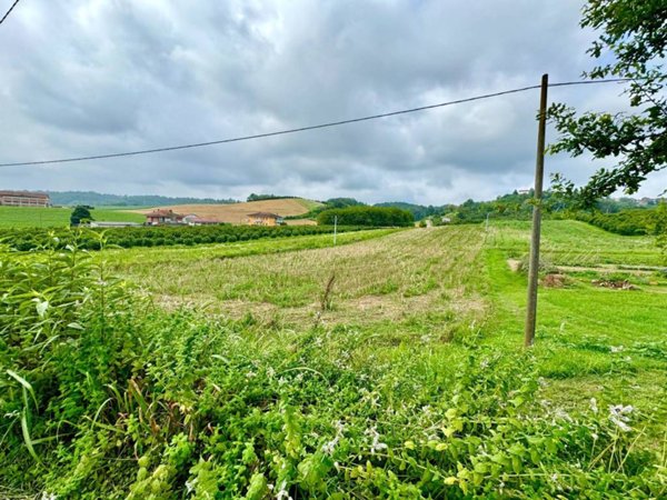 terreno agricolo in vendita ad Asti in zona Palucco