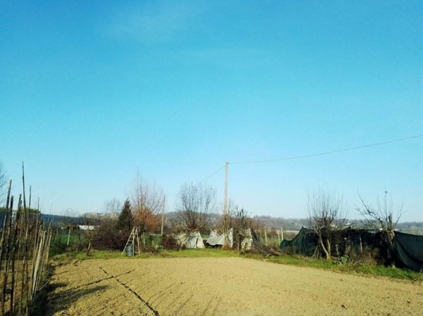 terreno agricolo in vendita ad Asti in zona Quarto