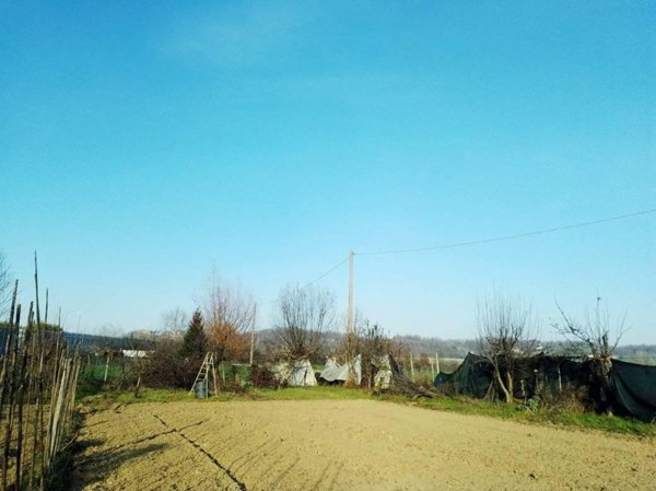 terreno agricolo in vendita ad Asti in zona Quarto
