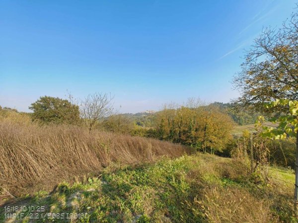 terreno agricolo in vendita ad Asti in zona Montemarzo