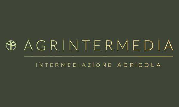 casa indipendente in vendita ad Asti