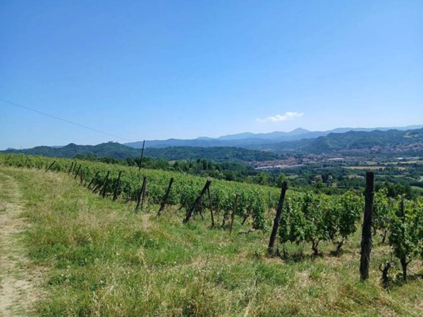 terreno agricolo in vendita ad Asti in zona Corso Vittorio Alfieri