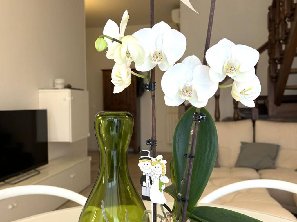 appartamento in vendita ad Asti in zona Variglie