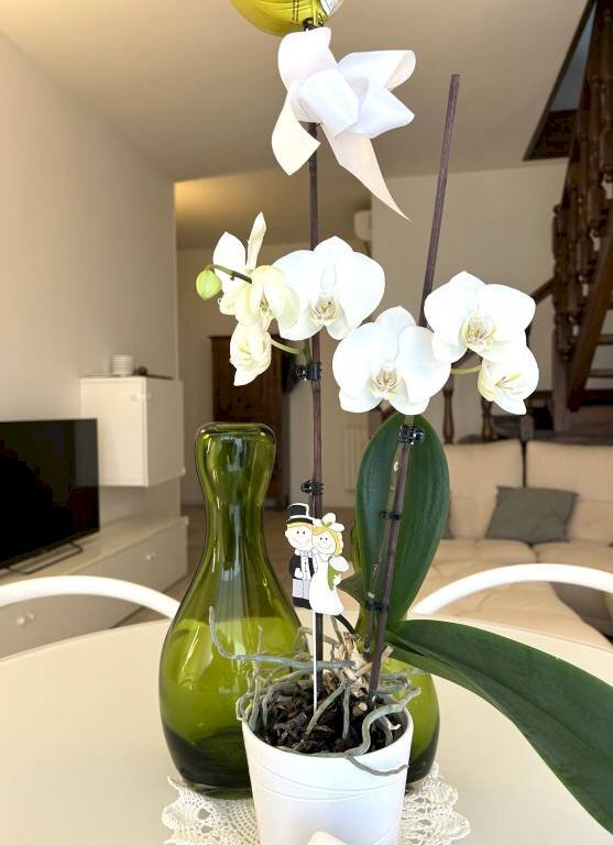 appartamento in vendita ad Asti