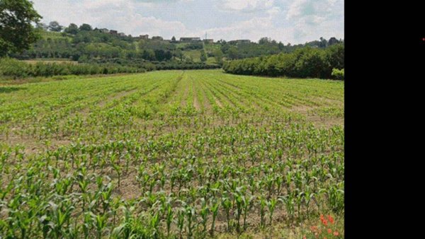 casa indipendente in vendita ad Asti in zona San Marzanotto Piana