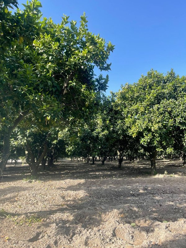 capannone in vendita a Sant'Ilario dello Ionio