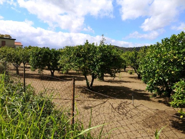 terreno agricolo in vendita a Sant'Ilario dello Ionio in zona Quarantano/Cardesi
