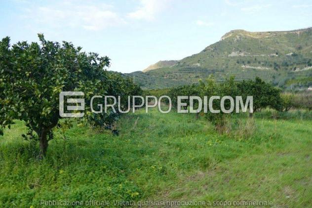 terreno agricolo in vendita a Sant'Ilario dello Ionio