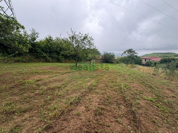 pentavano in vendita a Scilla