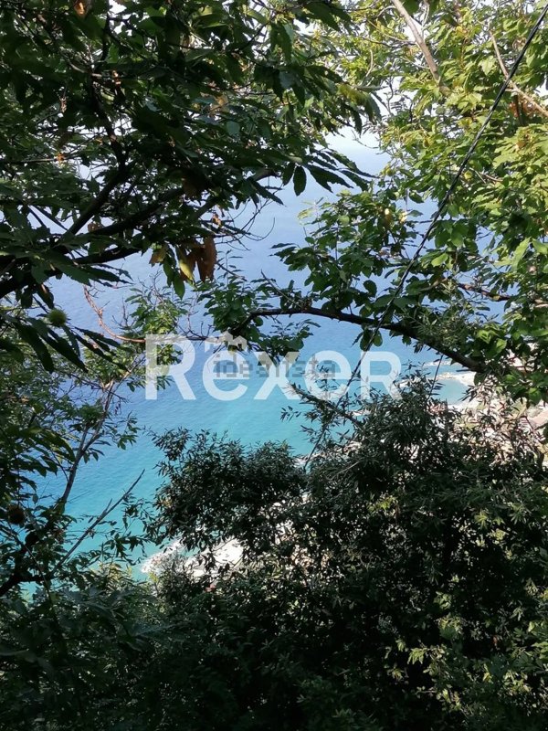 casa indipendente in vendita a Scilla