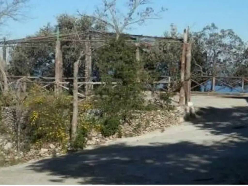 casa indipendente in vendita a Scilla