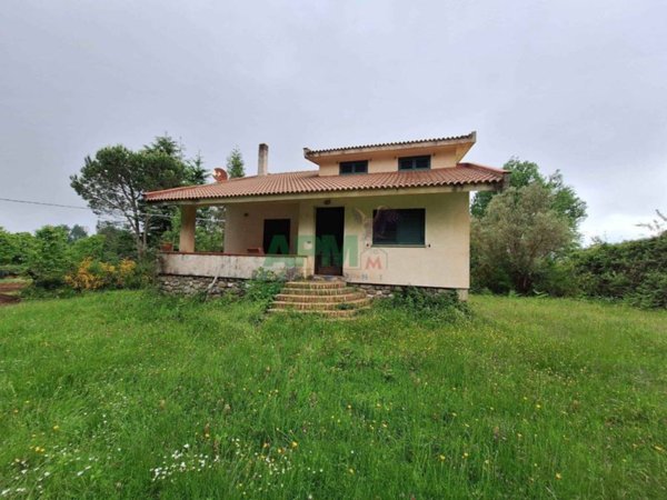 terreno agricolo in vendita a Scilla