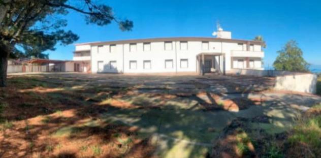 pentavano in vendita a Scilla