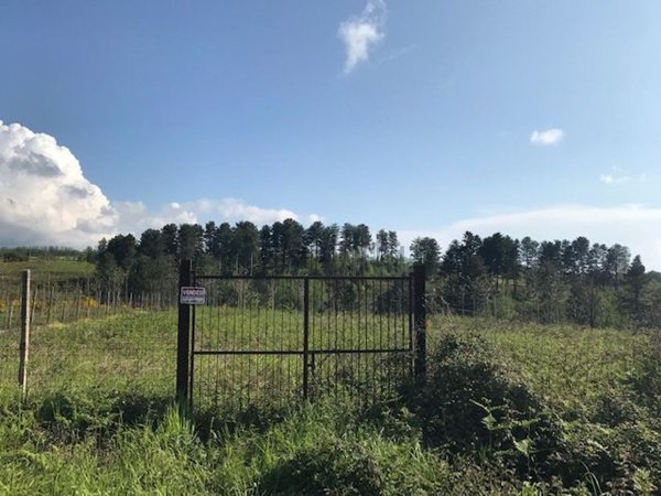 terreno agricolo in vendita a Scilla