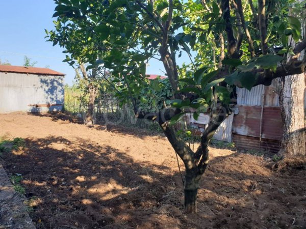 casa indipendente in vendita a Scilla