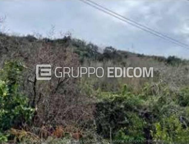 terreno agricolo in vendita a Scilla