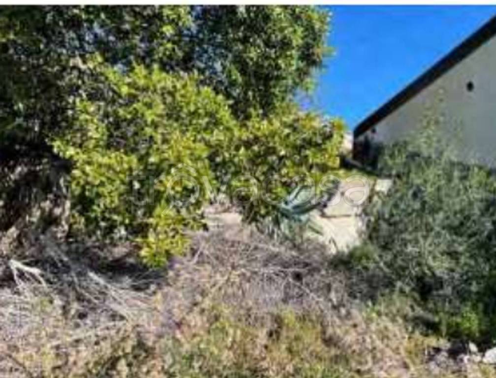 terreno edificabile in vendita a Scilla