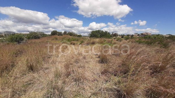 terreno agricolo in vendita a Siderno in zona Zammariti