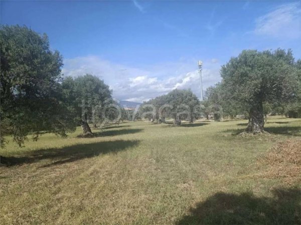 negozio in vendita a Siderno