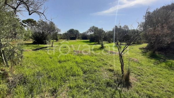 terreno agricolo in vendita a Siderno