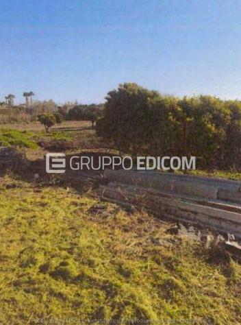 terreno agricolo in vendita a Siderno