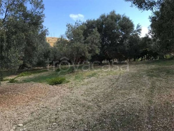 terreno agricolo in vendita a Siderno